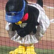 ヒメ日記 2025/10/10 23:36 投稿 さつき 三浦屋別館