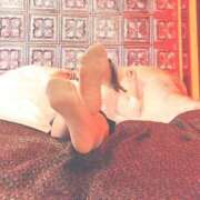 ヒメ日記 2025/11/05 23:55 投稿 さつき 三浦屋別館