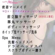 ヒメ日記 2026/01/24 19:52 投稿 さつき 三浦屋別館