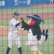 ヒメ日記 2026/04/29 11:06 投稿 さつき 三浦屋別館