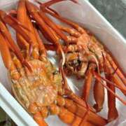 ヒメ日記 2024/12/22 15:57 投稿 ひなた マリン宮殿水戸店