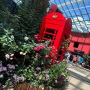 ヒメ日記 2025/07/20 14:54 投稿 ひなた マリン宮殿水戸店