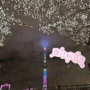 ヒメ日記 2025/04/07 16:20 投稿 井川 華恋人(カレント)