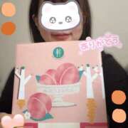 ヒメ日記 2025/04/19 16:30 投稿 井川 華恋人(カレント)