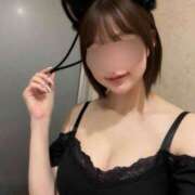 井川 擬態型黒猫 華恋人(カレント)