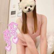 ヒメ日記 2025/12/28 11:08 投稿 あゆ キミの乳首が好き！！大阪店