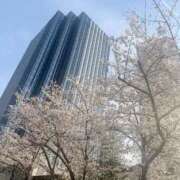 あゆ 綺麗すぎる🌸 キミの乳首が好き！！大阪店