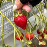 ヒメ日記 2025/05/10 14:26 投稿 清楚系＋激エロ＝萌え子 club Ego