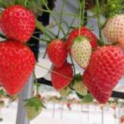 ヒメ日記 2026/04/09 10:40 投稿 清楚系＋激エロ＝萌え子 club Ego