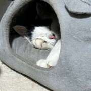 ヒメ日記 2025/01/07 20:00 投稿 安田則子 五十路マダム宇都宮店(カサブランカグループ)