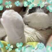 ヒメ日記 2025/03/19 10:04 投稿 安田則子 五十路マダム宇都宮店(カサブランカグループ)