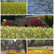 ヒメ日記 2025/04/23 18:56 投稿 安田則子 五十路マダム宇都宮店(カサブランカグループ)