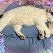 ヒメ日記 2025/07/13 18:46 投稿 安田則子 五十路マダム宇都宮店(カサブランカグループ)