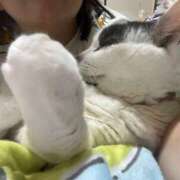 ヒメ日記 2025/08/09 18:54 投稿 安田則子 五十路マダム宇都宮店(カサブランカグループ)