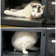 ヒメ日記 2025/08/24 18:44 投稿 安田則子 五十路マダム宇都宮店(カサブランカグループ)