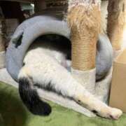 ヒメ日記 2025/11/05 23:58 投稿 安田則子 五十路マダム宇都宮店(カサブランカグループ)