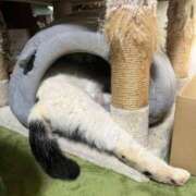 ヒメ日記 2026/01/11 18:46 投稿 安田則子 五十路マダム宇都宮店(カサブランカグループ)