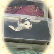 ヒメ日記 2026/02/27 20:52 投稿 安田則子 五十路マダム宇都宮店(カサブランカグループ)