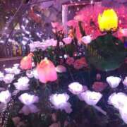 ヒメ日記 2025/03/07 20:19 投稿 たまみ 完熟ばなな札幌・すすきの