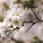 ヒメ日記 2025/05/04 08:09 投稿 たまみ 完熟ばなな札幌・すすきの