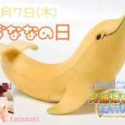 ヒメ日記 2025/08/03 17:49 投稿 たまみ 完熟ばなな札幌・すすきの