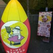 ヒメ日記 2025/10/31 19:09 投稿 たまみ 完熟ばなな札幌・すすきの