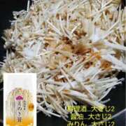 ヒメ日記 2025/11/03 07:59 投稿 たまみ 完熟ばなな札幌・すすきの