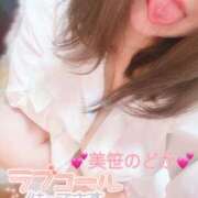 ヒメ日記 2025/04/23 14:50 投稿 美笹～MISASA～ BBW名古屋店