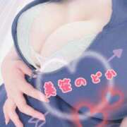 ヒメ日記 2025/04/26 16:40 投稿 美笹～MISASA～ BBW名古屋店
