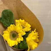 ヒメ日記 2025/04/23 07:53 投稿 理央648(rio) 健康寿命を延ばす！恋愛コミュニティ otsto(オトスト)