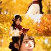 ヒメ日記 2025/11/05 17:20 投稿 めるる 君を舐めたくて学園