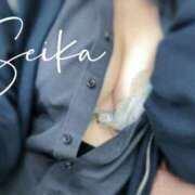 ヒメ日記 2025/11/12 04:23 投稿 浅見せいか 厚木OL委員会