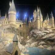 ヒメ日記 2026/03/24 19:13 投稿 浅見せいか 厚木OL委員会