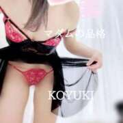 ヒメ日記 2024/12/11 04:54 投稿 こゆき マダムの品格