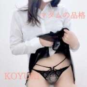 ヒメ日記 2024/12/12 08:08 投稿 こゆき マダムの品格