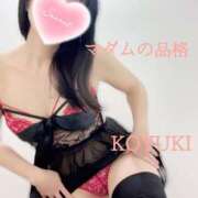 ヒメ日記 2024/12/14 17:46 投稿 こゆき マダムの品格