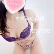 ヒメ日記 2024/12/15 11:51 投稿 こゆき マダムの品格