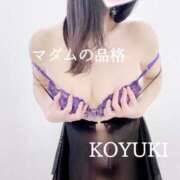 ヒメ日記 2024/12/17 16:33 投稿 こゆき マダムの品格