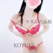 ヒメ日記 2024/12/19 09:28 投稿 こゆき マダムの品格