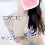 ヒメ日記 2024/12/20 20:33 投稿 こゆき マダムの品格