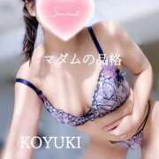 ヒメ日記 2024/12/22 14:24 投稿 こゆき マダムの品格