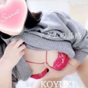 ヒメ日記 2024/12/24 21:24 投稿 こゆき マダムの品格