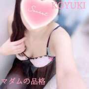 ヒメ日記 2024/12/27 23:43 投稿 こゆき マダムの品格