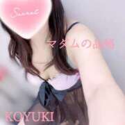 ヒメ日記 2024/12/28 05:03 投稿 こゆき マダムの品格