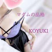 ヒメ日記 2024/12/28 15:59 投稿 こゆき マダムの品格