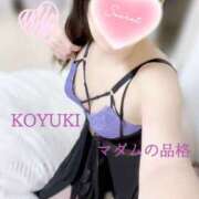 ヒメ日記 2024/12/29 16:53 投稿 こゆき マダムの品格