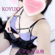 ヒメ日記 2024/12/29 17:03 投稿 こゆき マダムの品格