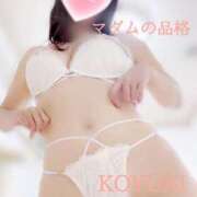 ヒメ日記 2024/12/30 08:49 投稿 こゆき マダムの品格