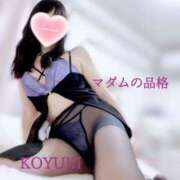 ヒメ日記 2024/12/30 23:28 投稿 こゆき マダムの品格