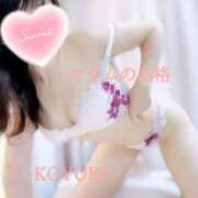 ヒメ日記 2024/12/31 08:10 投稿 こゆき マダムの品格